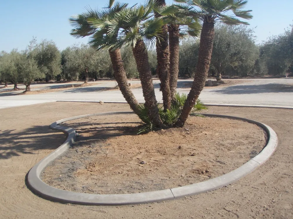 Trusted yard cleanup service near you across Visalia, CA - Lawscapes Curbing