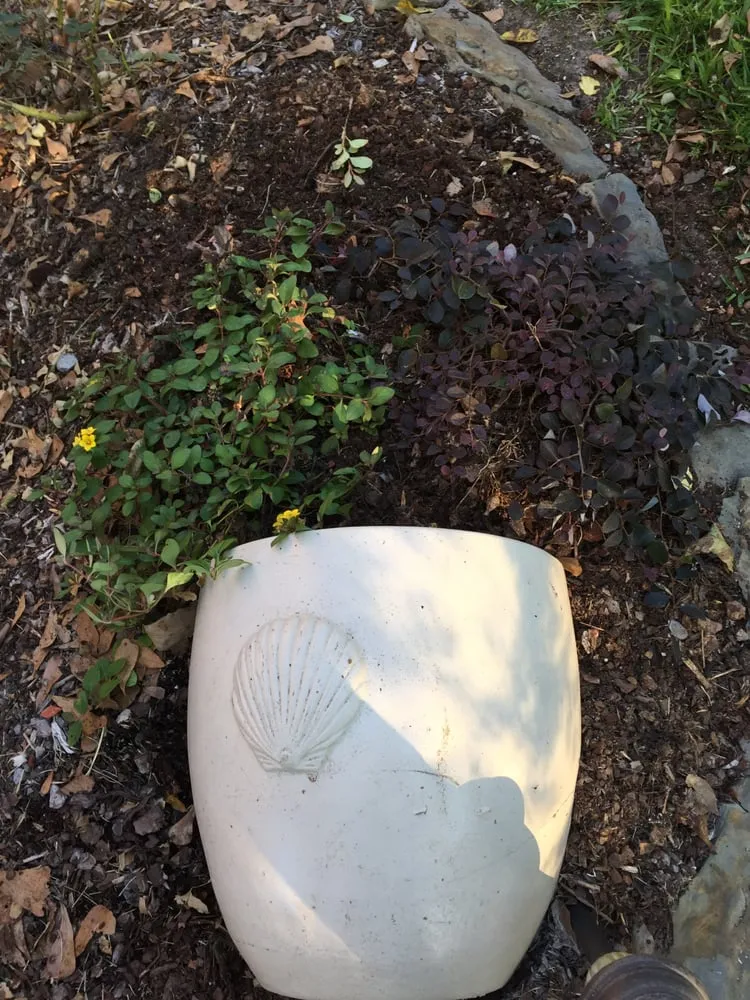 Trusted garden landscaping in Lake Charles, LA by Lawson Landscaping