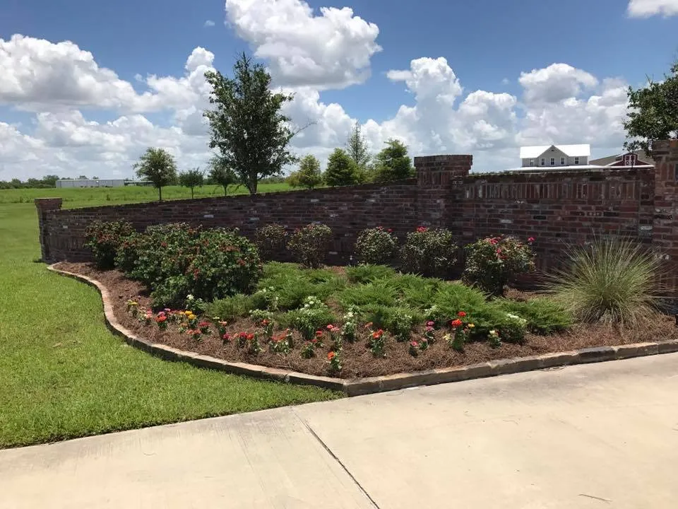 Reliable yard cleanup service in Lake Charles, LA - Lawson Landscaping