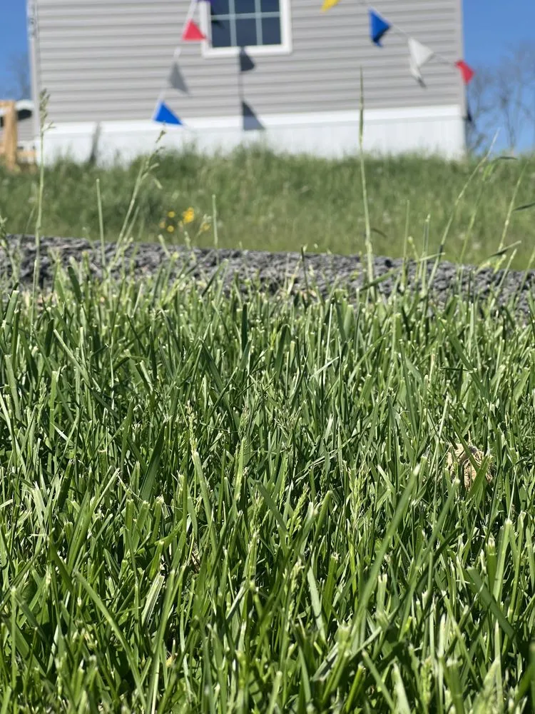 Top-rated yard maintenance in Westover, WV by Lawson Lawn and Auto Care