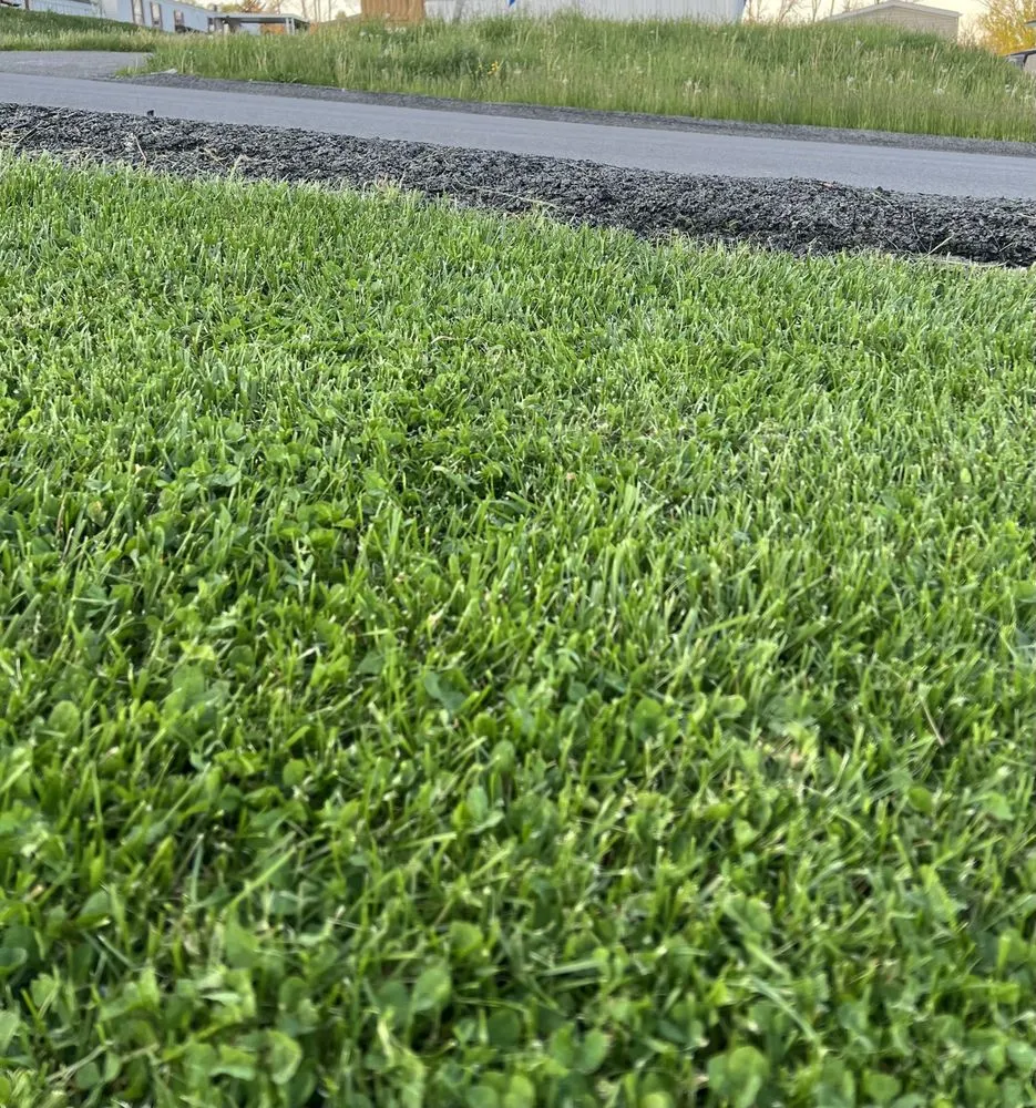 Trusted yard maintenance with custom design across Westover, WV - Lawson Lawn and Auto Care