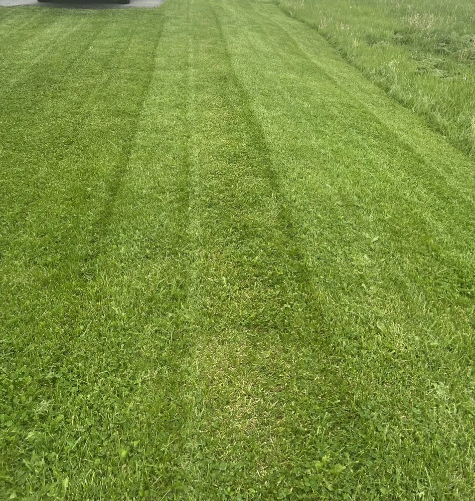 Local residential landscaping in Westover, WV by Lawson Lawn and Auto Care