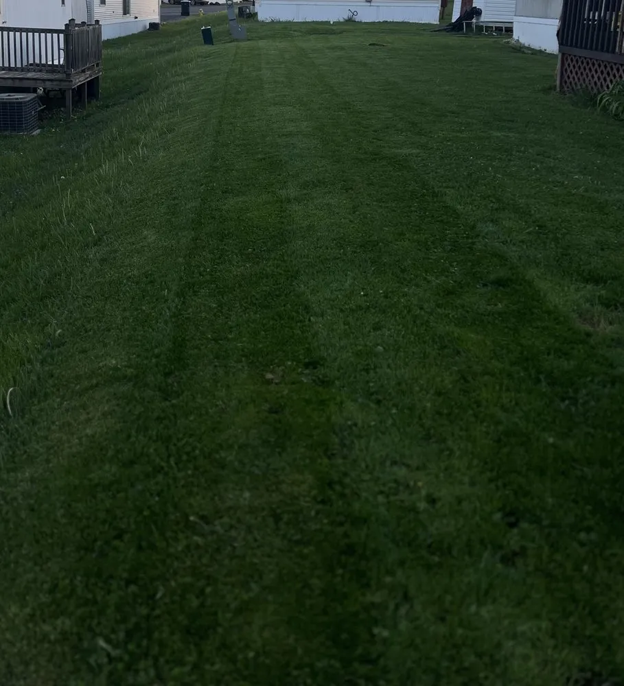 Reliable lawn mowing service in Westover, WV - Lawson Lawn and Auto Care