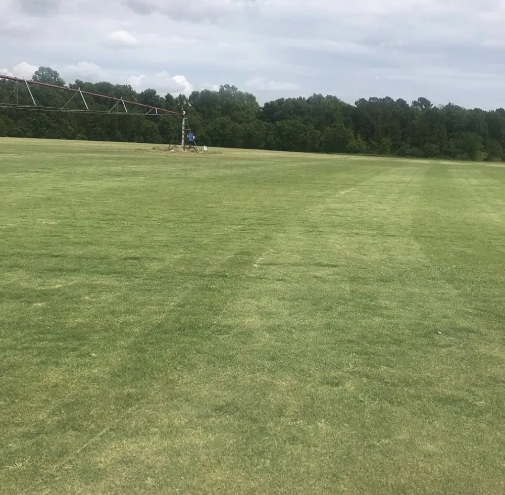 Local outdoor landscaping experts serving Darlington, SC - Lawson Turf Farm