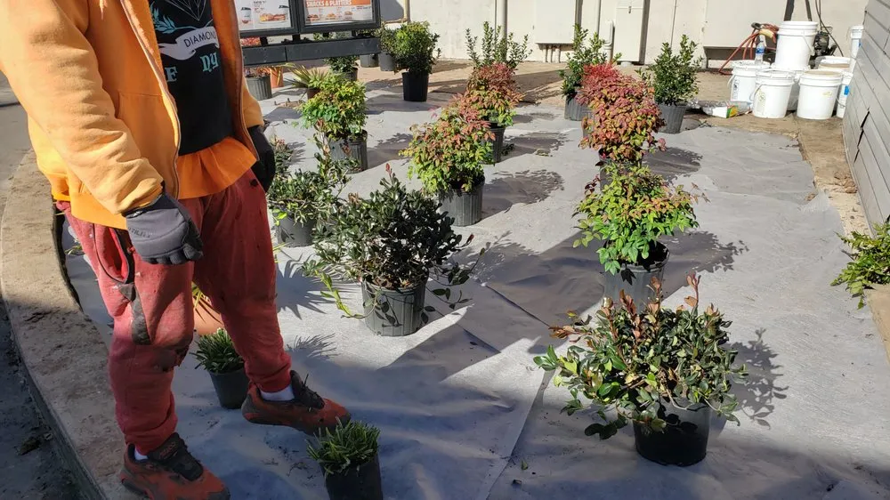 Reliable yard cleanup service for beautiful yards across Terrell, TX - Lawson's Landscaping & Irrigation