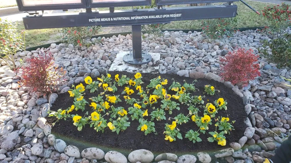 Local landscaping services for year-round maintenance across Terrell, TX - Lawson's Landscaping & Irrigation