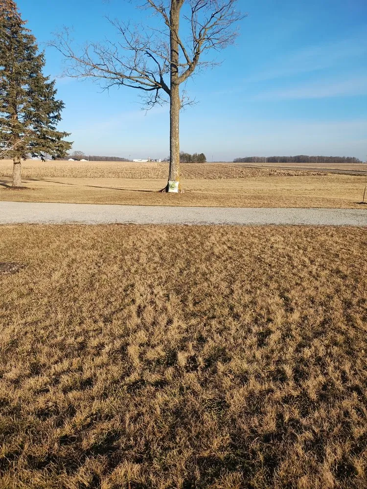 Custom yard cleanup service experts serving Converse, IN - Lawson's Landscaping