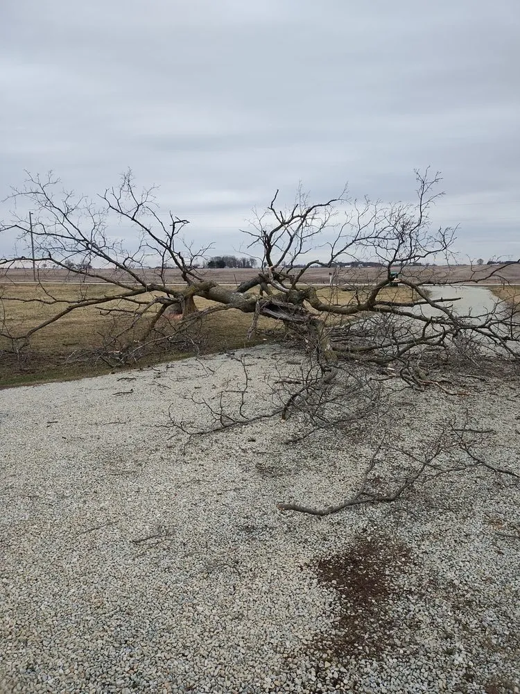 Trusted landscape design near you across Converse, IN - Lawson's Landscaping