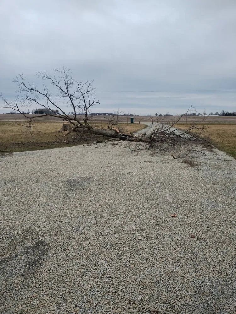 Local yard cleanup service experts serving Converse, IN - Lawson's Landscaping