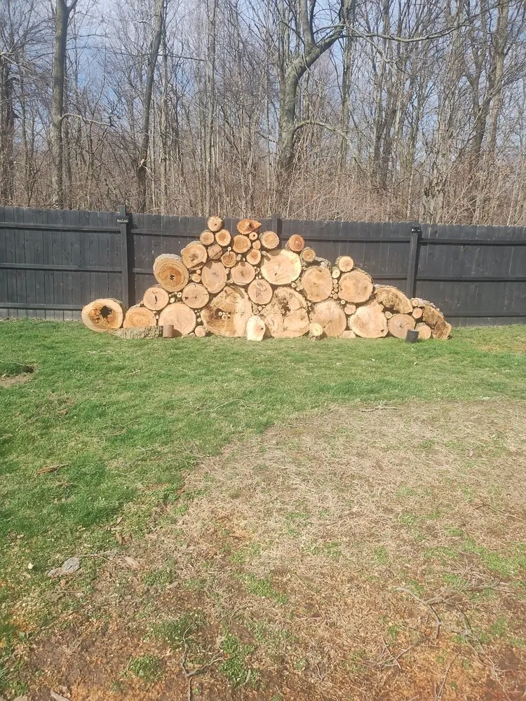 Top-rated yard cleanup service for homes in Converse, IN by Lawson's Landscaping