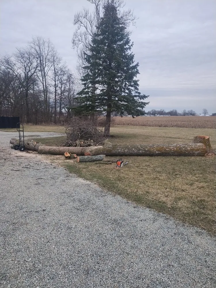 Custom yard cleanup service in Converse, IN - Lawson's Landscaping