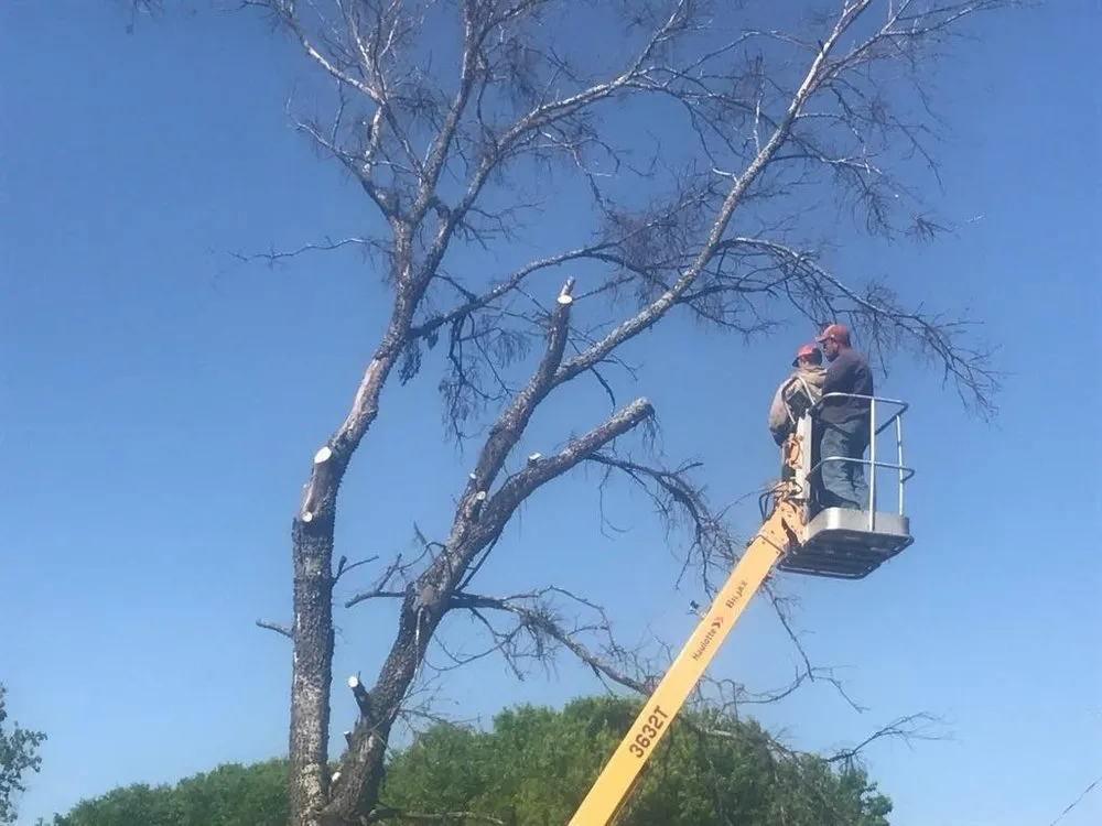 Local landscape installation in Buckholts, TX - Lawson's Tree Service & Landscaping