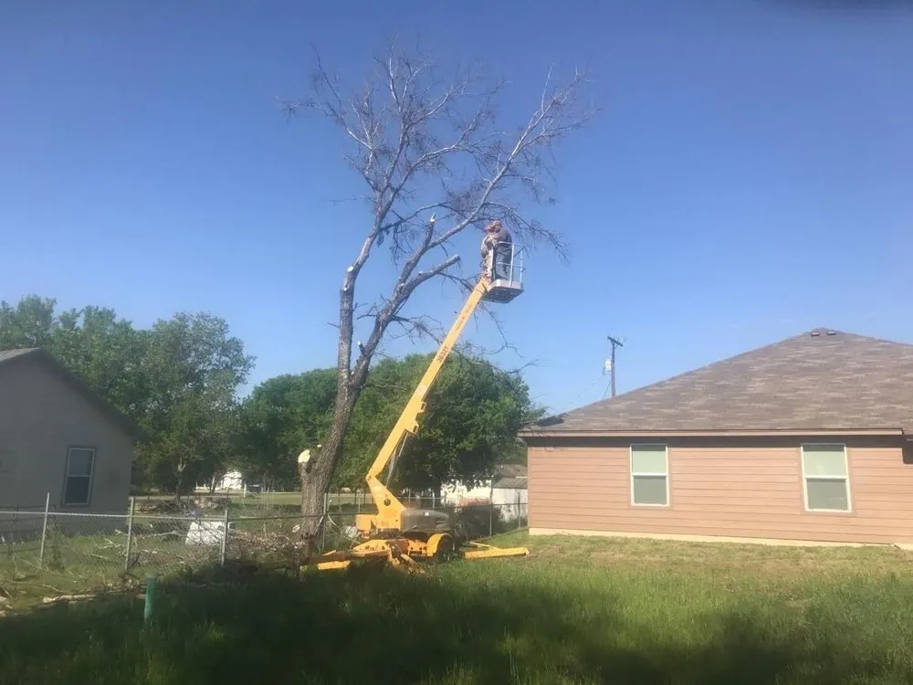 Local landscaping services in Buckholts, TX by Lawson's Tree Service & Landscaping