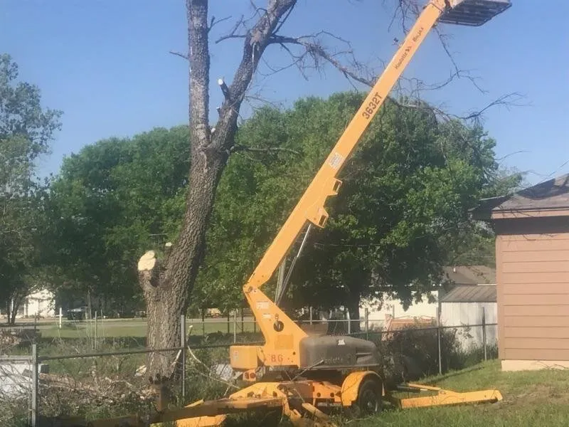 Custom landscape installation for beautiful yards in Buckholts, TX by Lawson's Tree Service & Landscaping