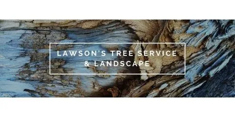 Custom yard cleanup service in Buckholts, TX - Lawson's Tree Service & Landscaping