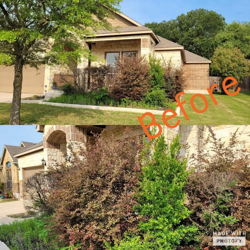 Affordable lawn mowing service in Buckholts, TX - Lawson's Tree Service & Landscaping
