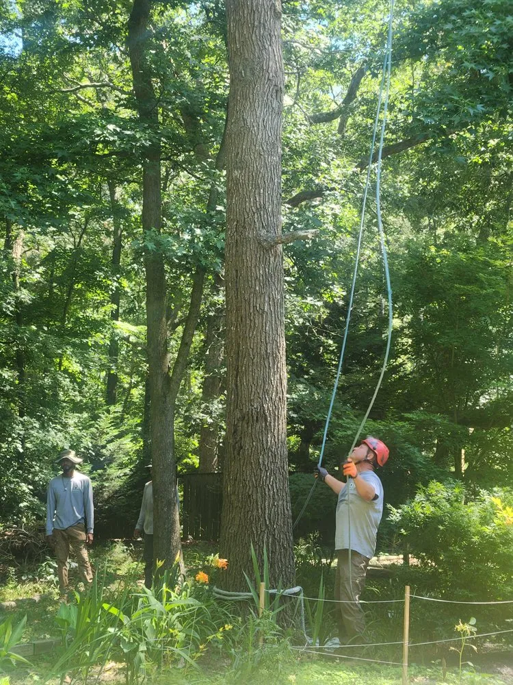 Trusted lawn mowing service for homes across Dagsboro, DE - Lawson's Tree Service & Landscaping