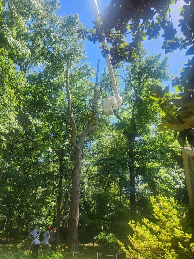 Expert landscape installation in Dagsboro, DE - Lawson's Tree Service & Landscaping