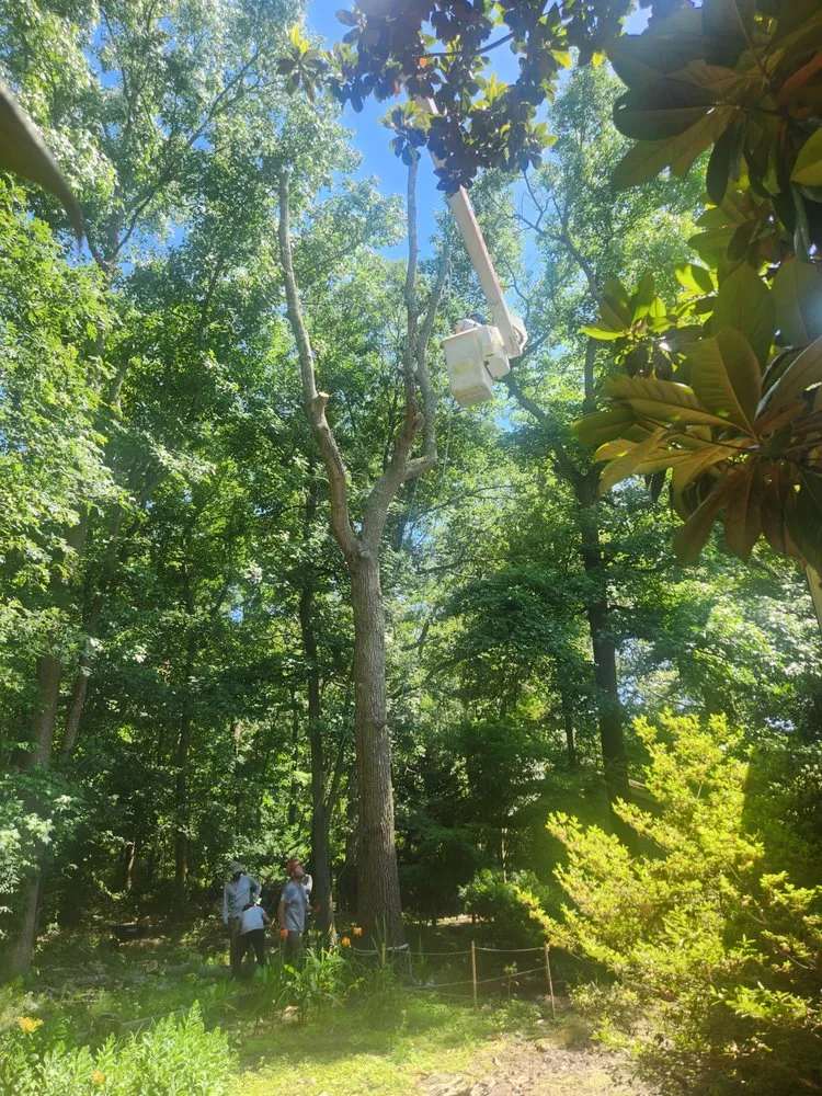 Top-rated outdoor landscaping for beautiful yards in Dagsboro, DE by Lawson's Tree Service & Landscaping