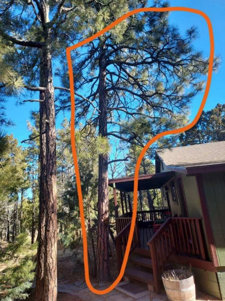 Custom yard maintenance in Mesa, AZ by Lawthbrook Contracting