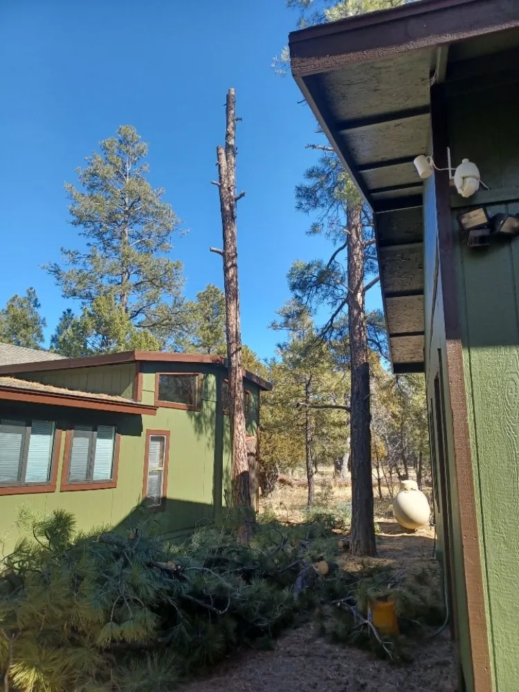 Top-rated garden landscaping experts serving Mesa, AZ - Lawthbrook Contracting