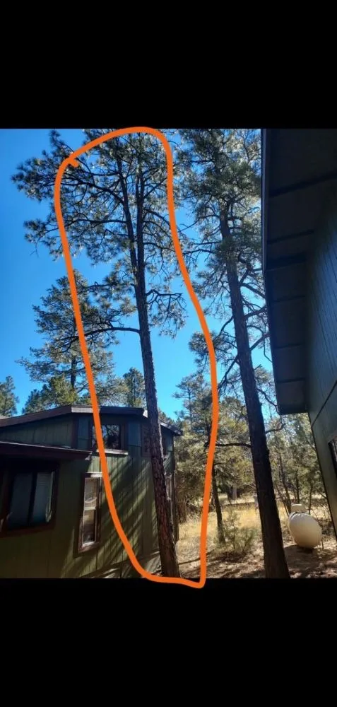 Affordable outdoor landscaping for beautiful yards in Mesa, AZ by Lawthbrook Contracting