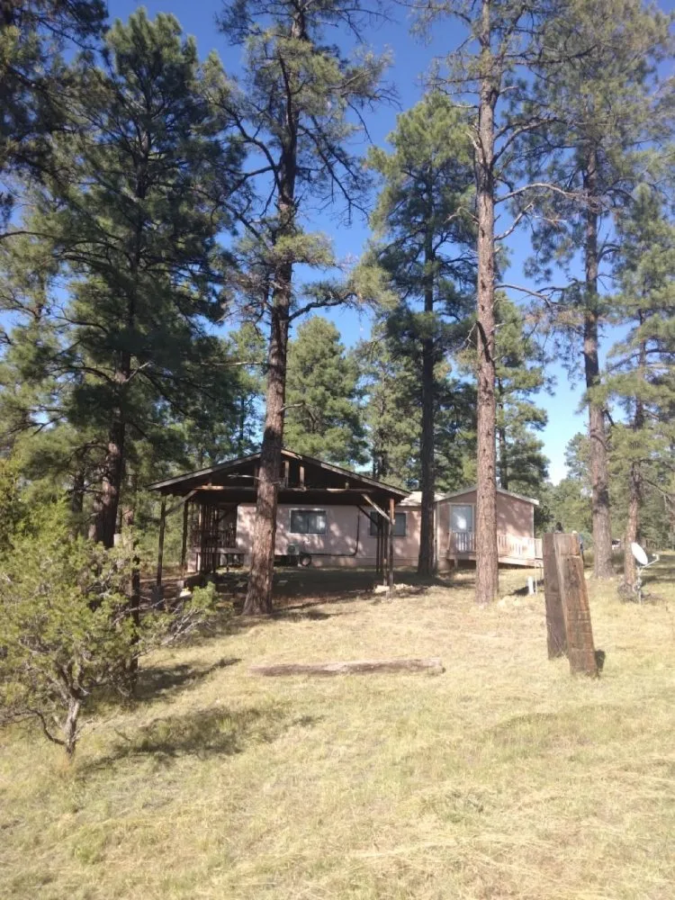 Expert lawn mowing service in Mesa, AZ by Lawthbrook Contracting