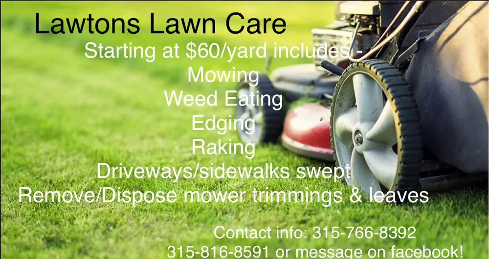 Expert yard cleanup service for homes in Natural Bridge, NY by Lawtons Lawn Care