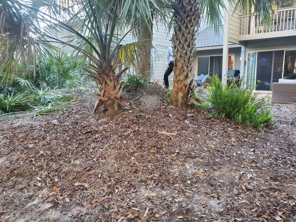 Top-rated yard cleanup service in Guyton, GA - Lax Landscaping