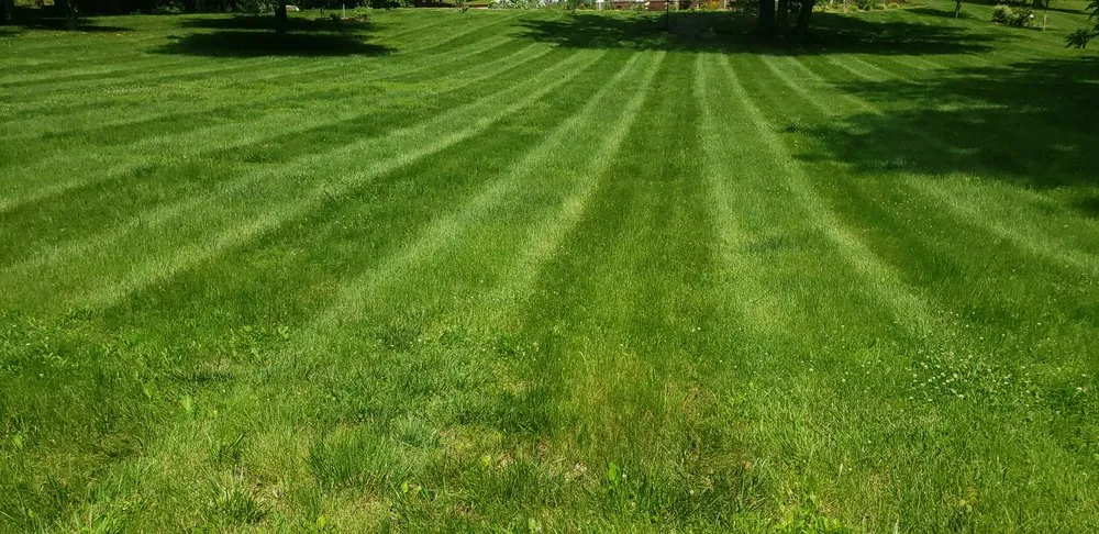 Affordable landscape installation experts serving Marion, KY - Laxbri Lawn Care
