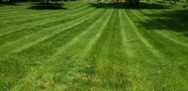 Laxbri Lawn Care