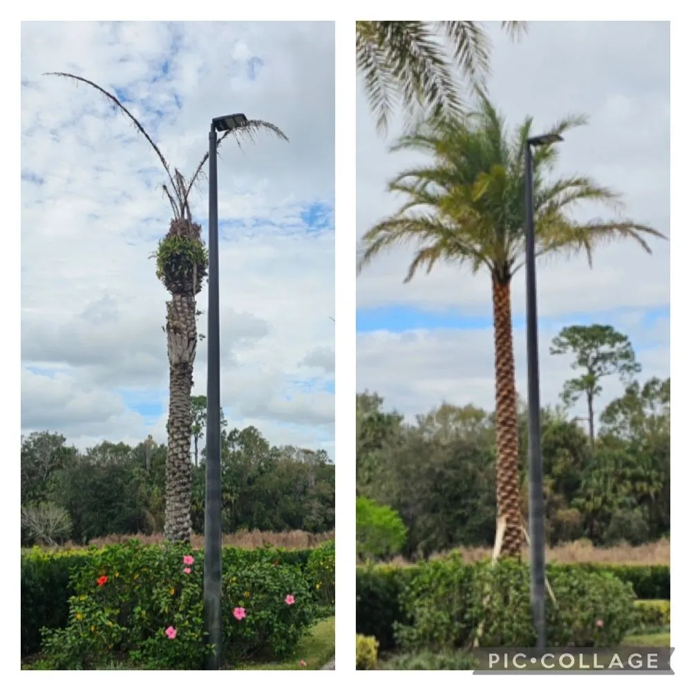 Local lawn mowing service in Winter Park, FL by Lay It Down Clearing