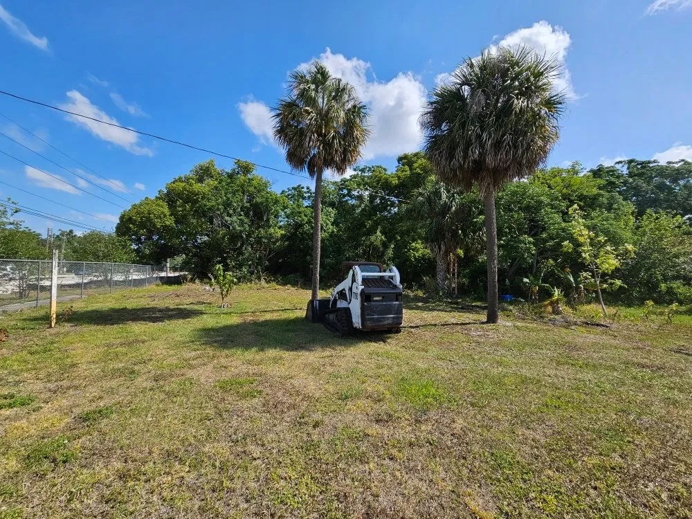 Expert landscaping services in Winter Park, FL - Lay It Down Clearing