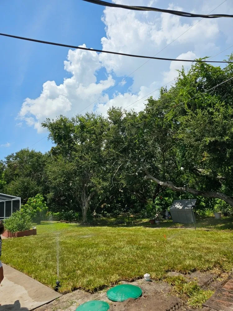 Local landscape design in Winter Park, FL - Lay It Down Clearing