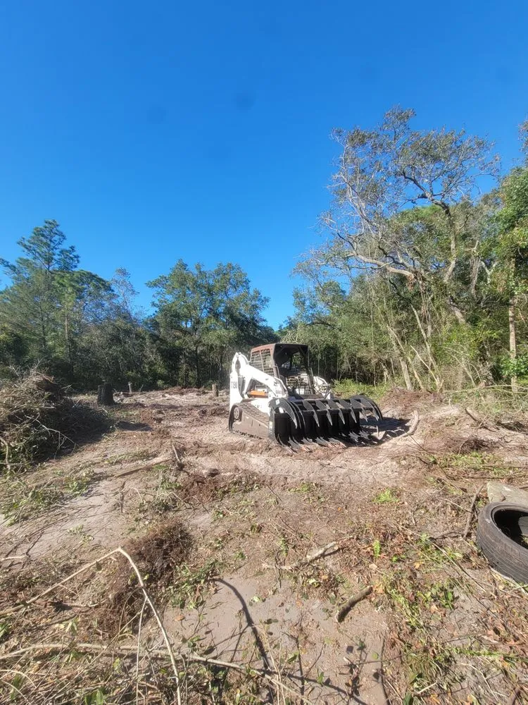 Custom residential landscaping for year-round maintenance across Winter Park, FL - Lay It Down Clearing