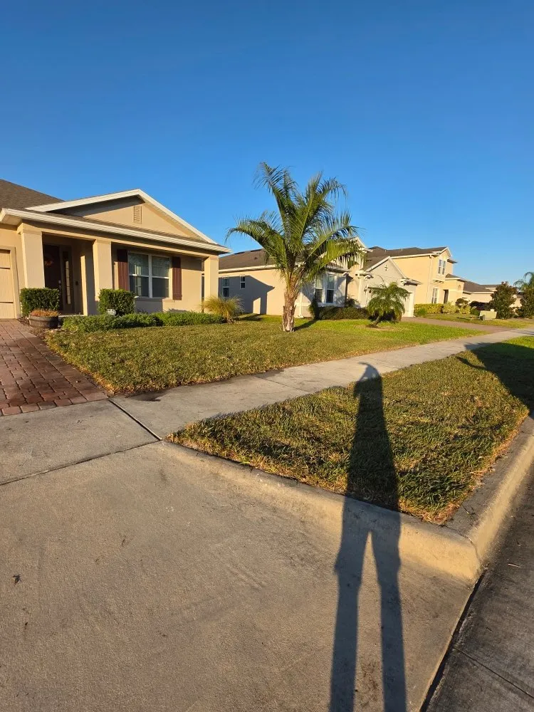 Trusted yard cleanup service experts serving Winter Park, FL - Lay It Down Clearing