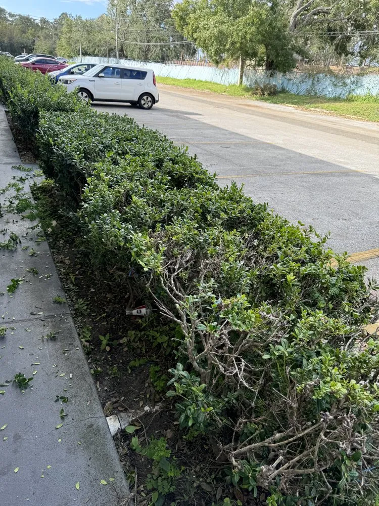 Professional lawn mowing service in Kissimmee, FL - Layan Lawn Care