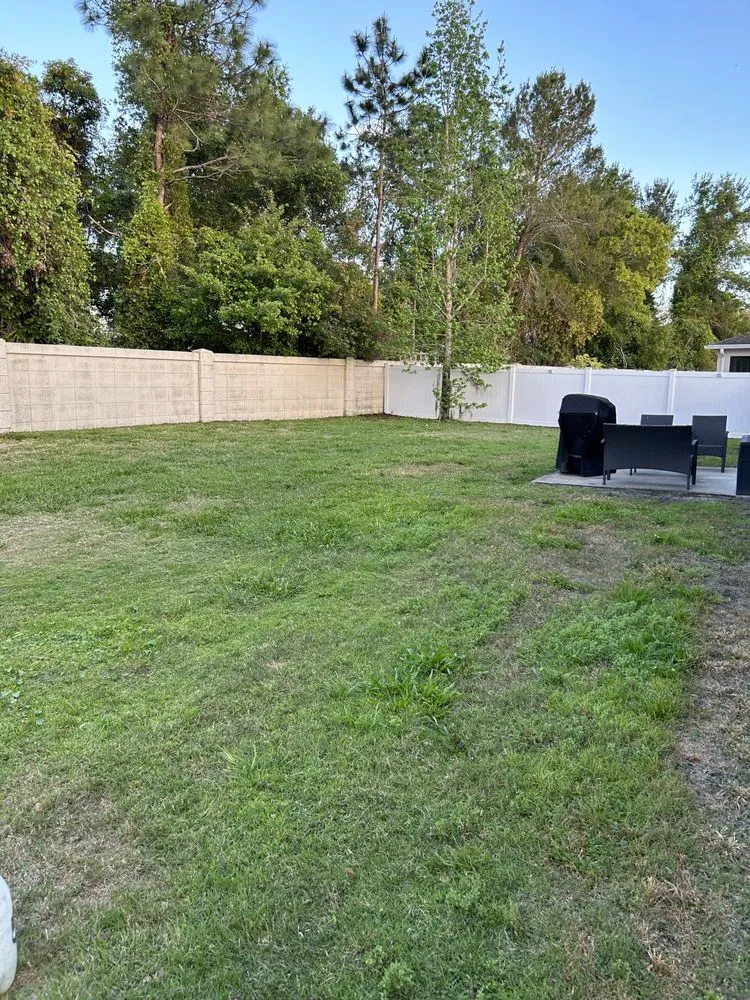 Top-rated landscaping services for year-round maintenance in Kissimmee, FL by Layan Lawn Care