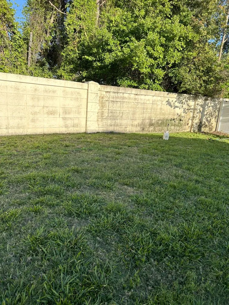 Expert lawn mowing service in Kissimmee, FL by Layan Lawn Care