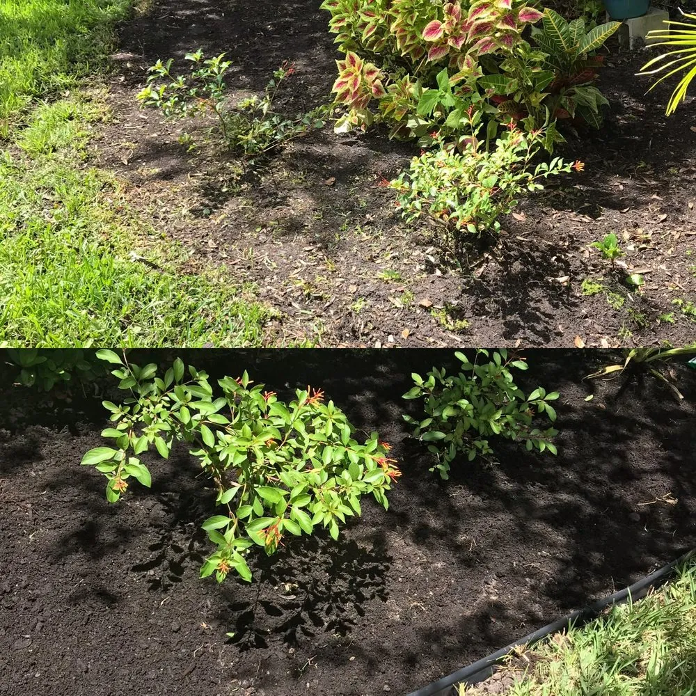 Reliable residential landscaping for beautiful yards across Kissimmee, FL - Layan Lawn Care