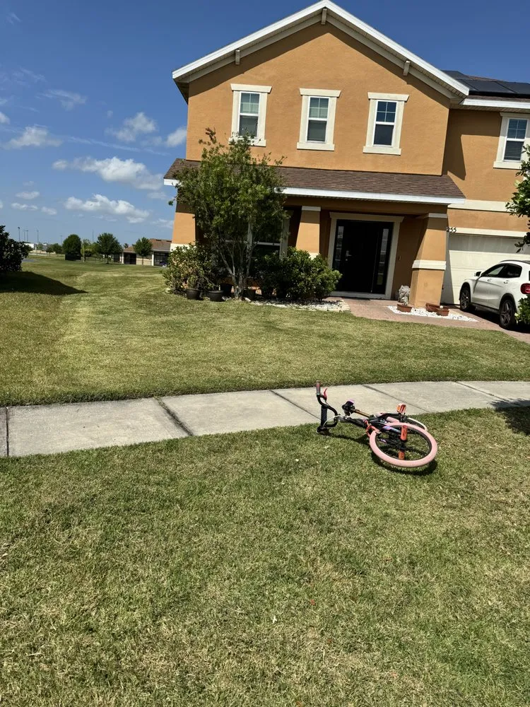 Custom yard cleanup service for outdoor upgrades in Kissimmee, FL by Layan Lawn Care