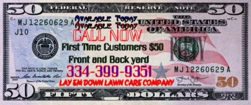 Trusted landscape design experts serving Montgomery, AL - Layem Down Lawn Care