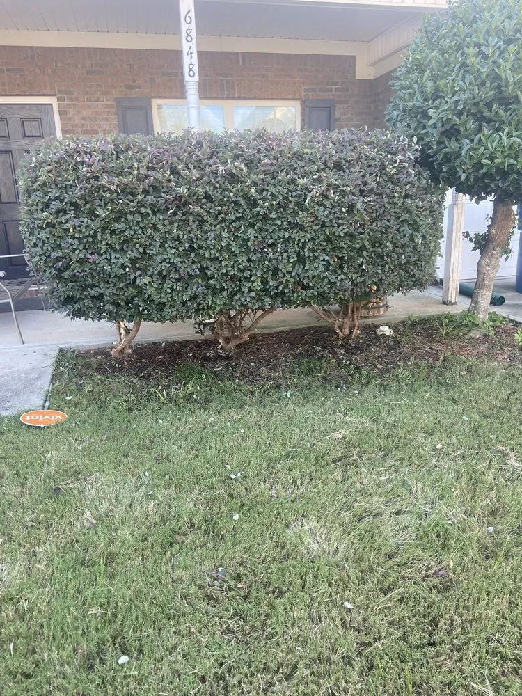 Expert garden landscaping in Rex, GA by Layen’s Lawn Care
