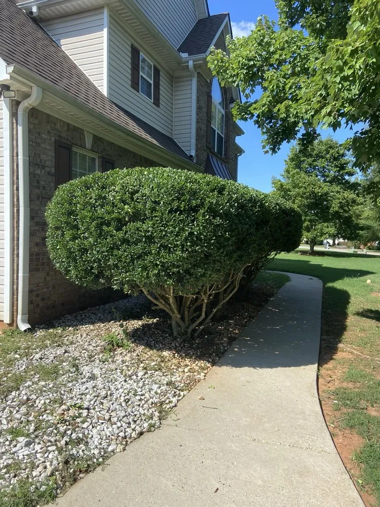 Custom yard maintenance in Rex, GA by Layen’s Lawn Care