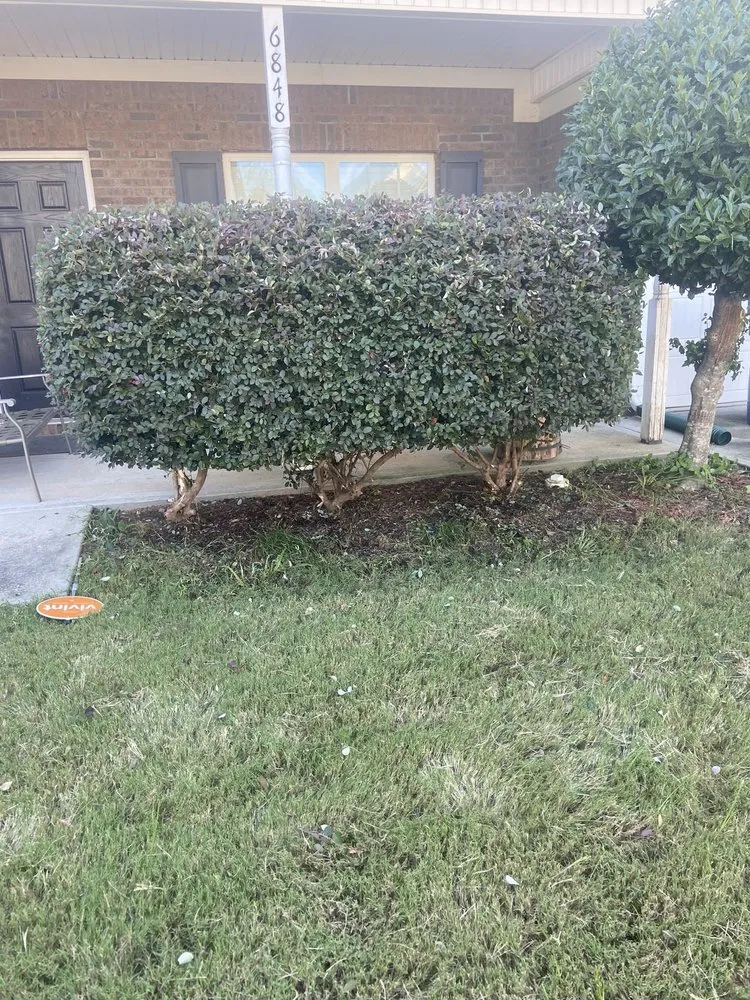 Local yard cleanup service for outdoor upgrades across Rex, GA - Layen’s Lawn Care