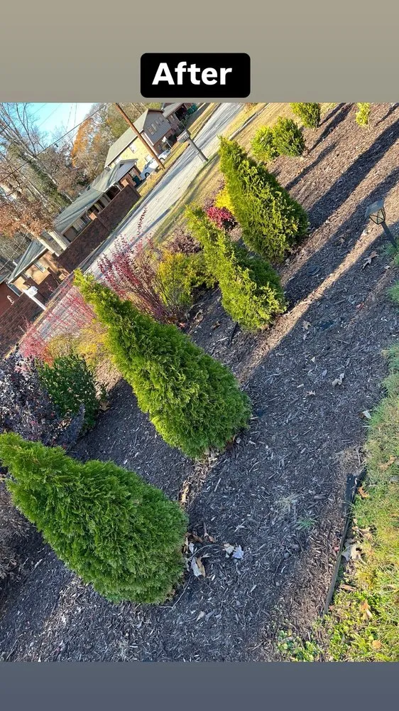Expert outdoor landscaping for homes in Rex, GA by Layen’s Lawn Care
