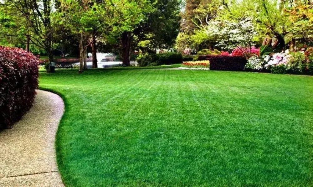 Trusted outdoor landscaping in Mansfield, OH - Layla’s Premier Lawn Care Service