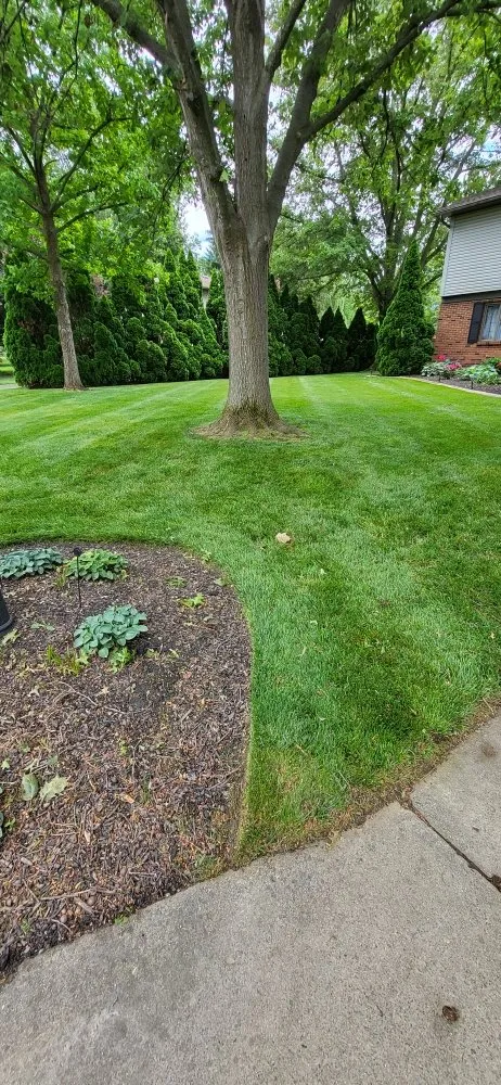 Trusted yard cleanup service with custom design in Pickerington, OH by Layne Lawn Services