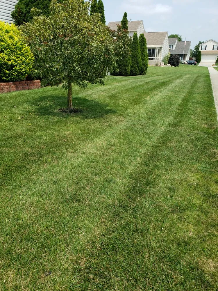 Local landscaping services experts serving Pickerington, OH - Layne Lawn Services
