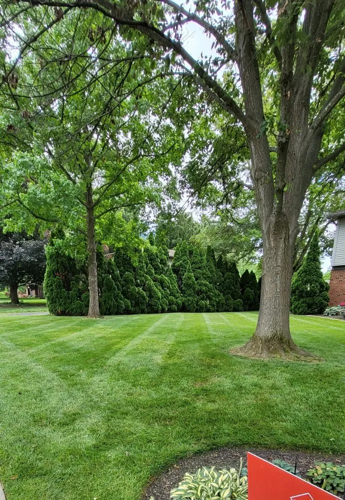 Top-rated lawn care service in Pickerington, OH by Layne Lawn Services